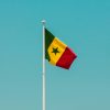 Senegal: Warnings From a Model Democracy on the Brink
