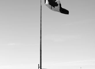 Where’s the Public Outrage Over Harper’s Foreign Policy?