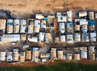 Refugee Protection and Human Rights: Nothing Bogus About It