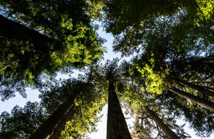 Is the Sky the Limit? Risk, Uncertainty, and Nature